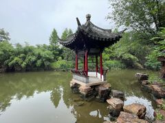 -水绘园