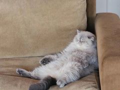 -瑞幸咖啡(国际珠宝交易中心店)