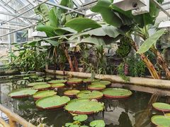 -国家植物园南园