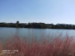 -羊山湖公园