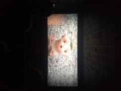 iphone_upload_pic-博纳国际影城(茂业天地IMAX店)