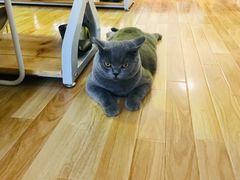 -壹人壹像工作室(购物公园店)