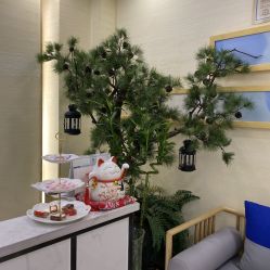 -芳朵美容养生SPA