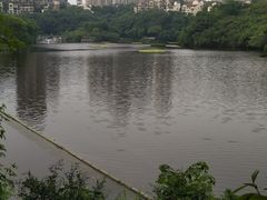 -重庆彩云湖湿地公园