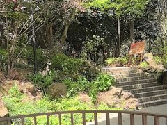 -东明山森林公园