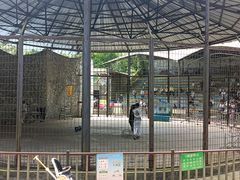 -贵州森林野生动物园