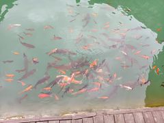 -山西通天峡景区