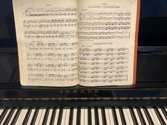 -梅纳·钢琴声乐架子鼓Mena Music(双井店)