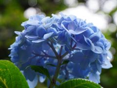 -常州古运河南大街文化旅游区-人民公园