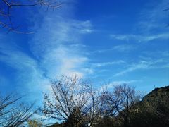 -佛慧山