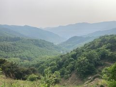 -阳台山自然风景区