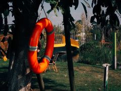 -白鹭湾湿地公园