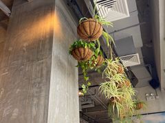 -Wagas沃歌斯(五道口购物中心店)