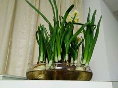 -杭州街角花屋花店(闻堰店)