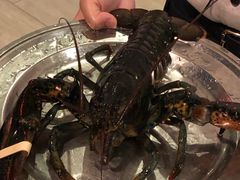 -RED LOBSTER(环球影城大阪店)