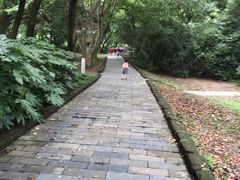 -东湖落雁景区