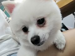 -零几体验diy皮具工作室(振业城店)