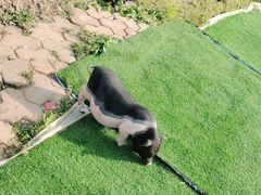 -小鱼草莓采摘园农家乐·小鱼餐厅