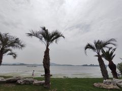 -无锡蠡湖国家湿地公园-蠡园