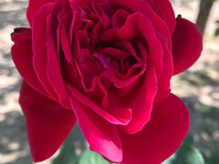 -禹城市禹王亭博物馆