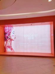 -THE COLORIST调色师