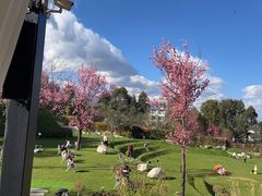 -云禾壹海景庄园餐厅