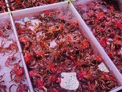 -桃源市场(解放路店)