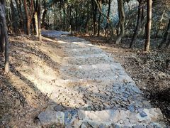 -东山风景区(洞庭东山)