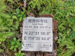 -杨梅坑