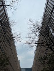 -南京市儿童医院(河西院区)