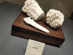 -大连自然博物馆