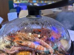 -半岛听涛蒸汽海鲜自助(K11店)
