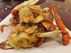 -清雅轩·清真菜·春饼•烤鸭(滑翔店)