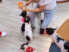 -猪盟咖啡店(玖洲道店)