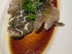 -张生记(丁香国际店)