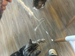 -小时光咖啡馆(北锣鼓巷店)