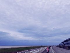 -阿尔法海鲜排档(爱琴海店)