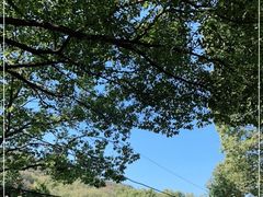 -上海佘山国家森林公园西佘山园