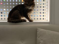 -天使咖啡(兴新街店)