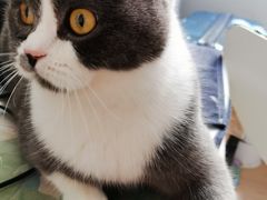 -艾贝尔宠物诊疗