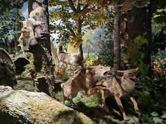 -陕西自然博物馆