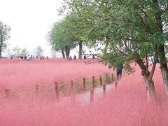 -汉长安城未央宫国家考古遗址公园