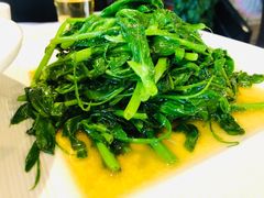 -正兴蜀园(科技园区店)