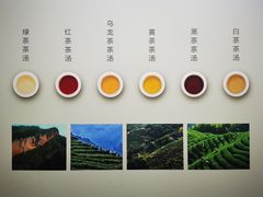 -中国茶叶博物馆(双峰馆区)