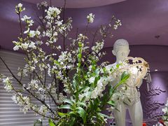 -正佳雨林生态植物园