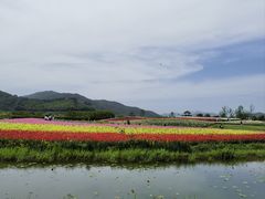 -径山花海