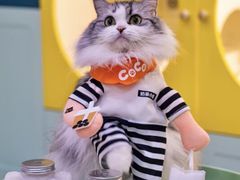 -CoCo都可(江宁殷巷店)