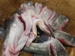 江团鱼-云中鱼蒸汽石锅鱼(川沙百联店)