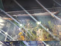 -循礼门鲜花花市(武汉循礼门店)