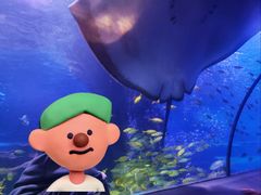 -太平洋海底世界